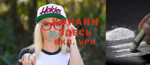 твердый Богородицк
