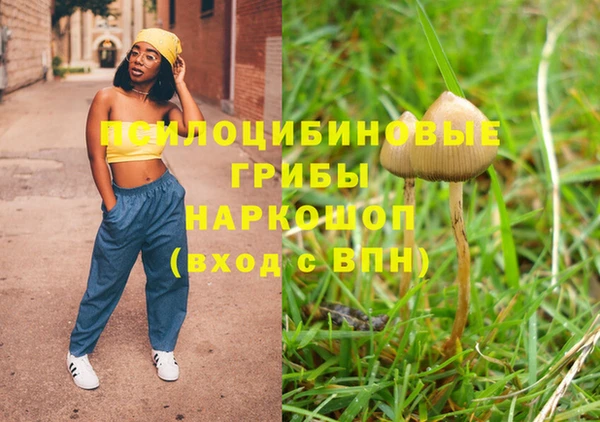 твердый Богородицк