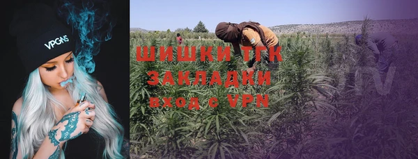 твердый Богородицк