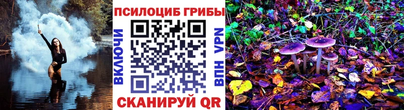 наркота  Шилка  Псилоцибиновые грибы MAGIC MUSHROOMS 